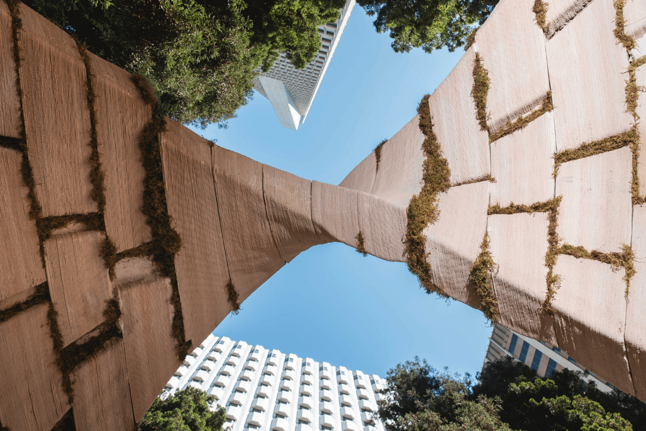 Tara Donovan: Stratagems and Lily Kwong: Earthseed Dome — Roborant